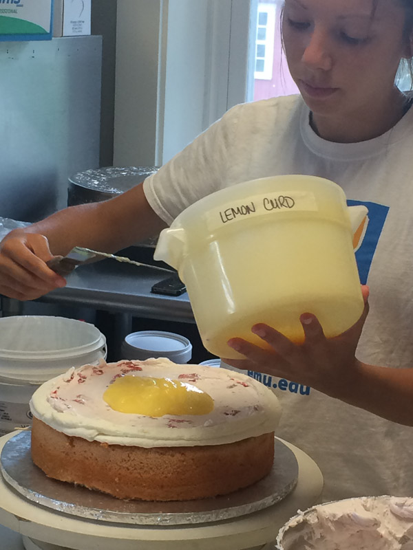 rosies_creative_cakes-1924