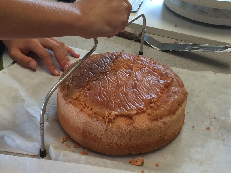 rosies_creative_cakes-1931