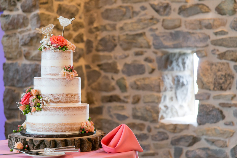 rosies_creative_cakes-3